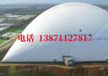 陈巴尔虎气膜棚卷帘门,电动门